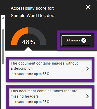 Accessibility report flagging all document issues.